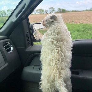 Meet your Posher, Kayden